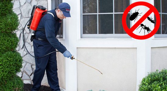 Kaynarca Hamam Böceği İlaçlama böcek ilaçlama ve haşere kontrolü — ilaclama-tr.com